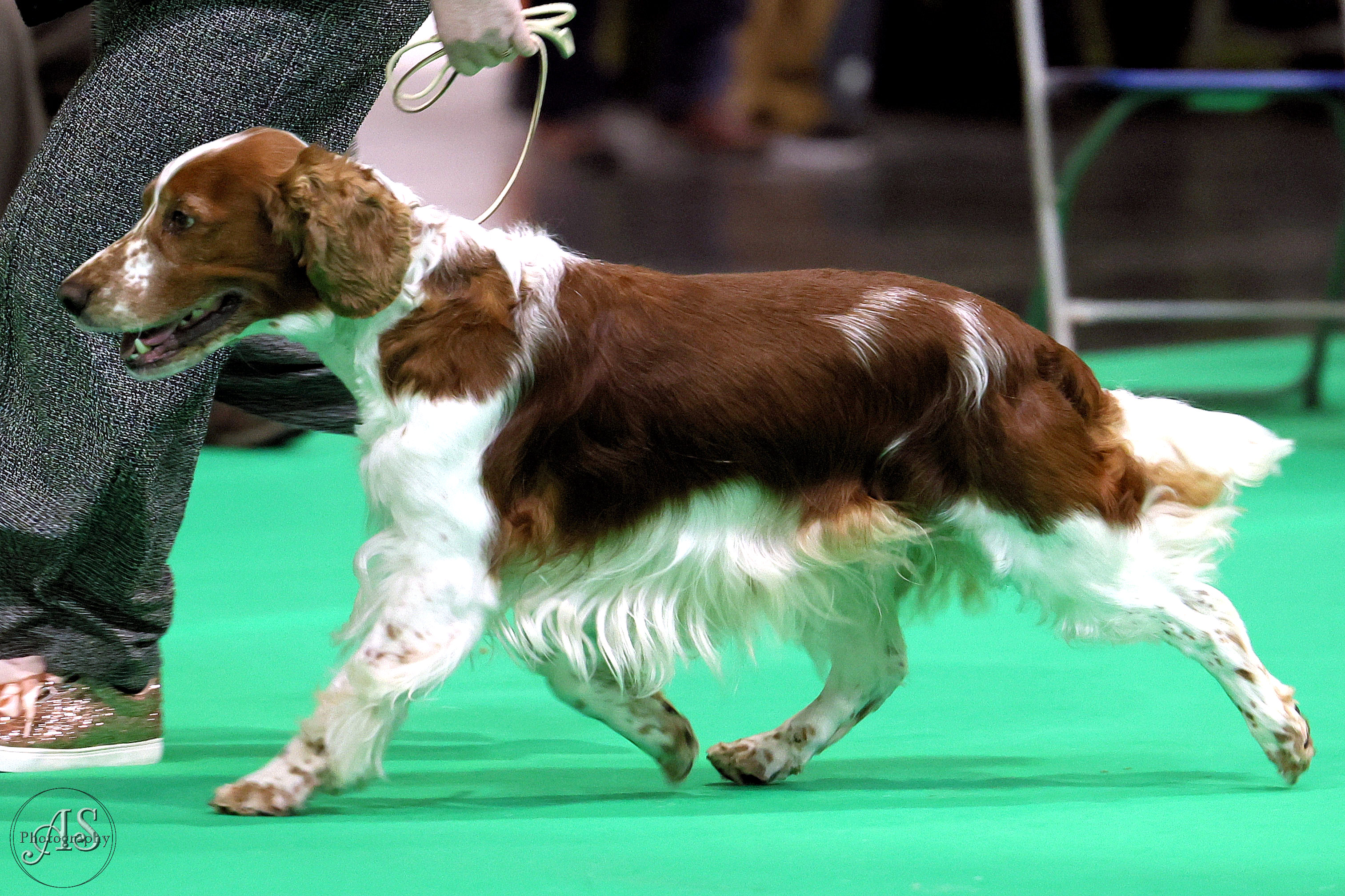 Bobby Crufts 2026
